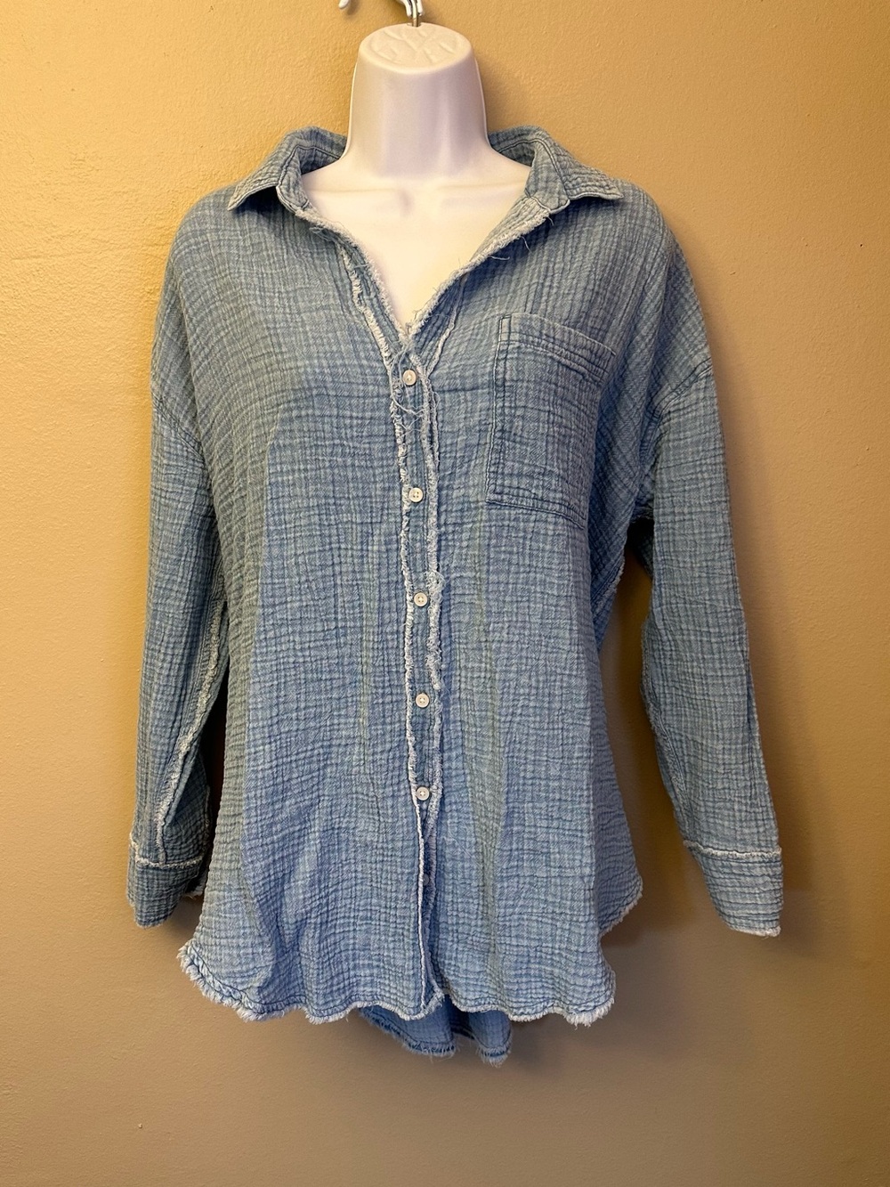 Blue Aerie Button Down Shirt
